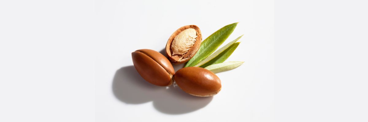 שמן מרוקאי לשיער