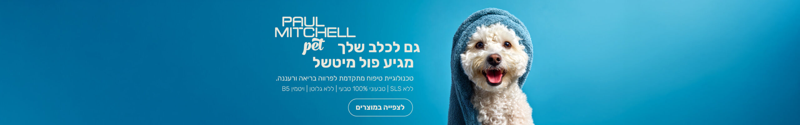 מבצע סנטרהיר